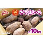 野菜類 サツマイモ 2026年11月~ 予定