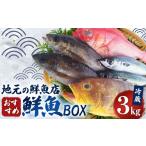 旬の鮮魚等 長崎産 地元の鮮魚店 鮮魚 BOX 3kg