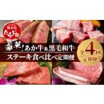 牛肉 サーロイン 定期便 4回 豪華 あか牛 黒毛和牛