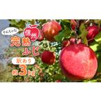 ふるさと納税 りんご 長野県 中野市 〈信州中野まつじるし農園〉やんちゃな訳あり完熟ふじ 約3kg_ りんご 林檎 完熟 ふじ フルーツ 果物 くだもの 人気 おすす…