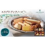 焼菓子 チョコレート アンテノール エスプリ