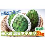 果物類 B2-22146 垂水産温泉アテモヤ 2kg