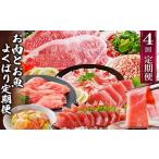 牛肉 ステーキ 定期便4回配送 お肉とお魚のよくばり定期便