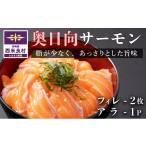 魚貝類 サーモン 奥日向サーモン サーモンフィレ 2枚