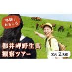 体験チケット 体験 おもしろ 都井岬野生馬