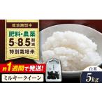 米 ミルキークイーン 令和8年産 新米 5kg