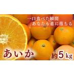 ふるさと納税 果物類 みかん 愛媛県 松山市  訳あり 農家直送 名前だけが訳あり あいか 5kg | 紅まどんな と同種 みかん 愛媛 松山 フルーツ 果物 くだもの 5…