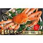 ふるさと納税 カニ ずわいガニ 福井県 美浜町 先行予約 浜茹で 地物 天然 越前がに 生の状態で約800g〜900g × 1杯 2025年12月上旬以降順次発送予定 かにスプ…