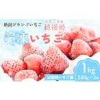 ふるさと納税 いちご 新潟県 出雲崎町 越後姫 いちご 冷凍いちご 1kg(500g×2袋) 国産 減農薬栽培 苺 イチゴ ブランドいちご 冷凍フルーツ フルーツ 果物 …