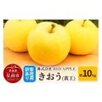ふるさと納税 りんご 青森県 弘前市 25年9月発送 りんご 訳あり 家庭用 きおう(黄王)約10kg