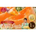 ふるさと納税 メロン メロン赤肉 北海道 旭川市  26年発送先行予約 北海道産 赤肉メロン LLサイズ 1玉（計2.0kg以上）2026年6月下旬から発送開始予定 果物 く…