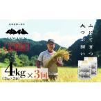 米 新米 2026年産米 定期便 2kg×2袋