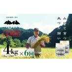 米 新米 2026年産米 定期便 2kg×2袋