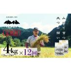 米 新米 2026年産米 定期便 2kg×2袋