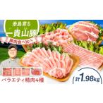 一貴山豚 精肉バラエティセット 計1980g