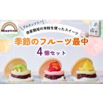 和菓子 もなか 季節のフルーツ最中セット 計4個