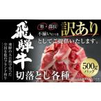 ふるさと納税 牛肉 すき焼き 岐阜県 白川村 訳あり 飛騨牛 切落とし 500g 冷凍真空パック | 肉 お肉 切り落とし 薄切り すき焼き すきやき 黒毛和牛 和牛 人気…