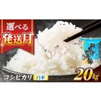 米 コシヒカリ 白米 20kg