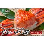 ふるさと納税 カニ ずわいガニ 北海道 森町 順次発送 ずわいがに姿 600〜650g前後 1尾 ワイエスフーズ かに カニ 蟹 ガニ がに 森町 ふるさと納税 北海道 ず…