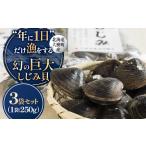 fu.... налог рыба моллюски ... Hokkaido большой . блок ограниченное количество иллюзия. [ огромный ....]3 пакет комплект (250g×3 пакет ) 1535325