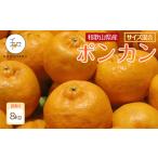 訳あり 森本農園の手選別 ポンカン 8kg