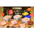 肉 ソーセージ 長崎ケーゼ ドライ レバー ポークタン