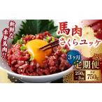 馬肉 3ヶ月定期便 馬肉さくらユッケ250g 50g×5パック