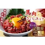 馬肉 6ヶ月定期便 馬肉さくらユッケ250g 50g×5パック
