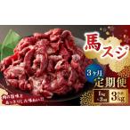 馬肉 3ヶ月定期便 馬スジ1kg 500g×2パック
