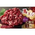 馬肉 6ヶ月定期便 馬スジ1kg 500g×2パック