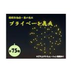 花火大会チケット 特別な記念 思い出に プライベート花火