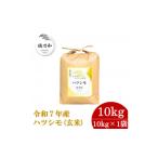 ふるさと納税 玄米 岐阜県 羽島市 先行予約 令和7年産 岐阜県産ハツシモ(玄米)10kg 1540786
