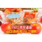 加工品等 D331 山口 徳佐 林檎のきららのアップルパイセット