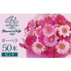花 苗木 花束 ラッピング付 生花 ピンクガーベラ