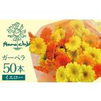花 苗木 花束 ラッピング付 生花 イエローオレンジガーベラ