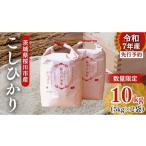 ふるさと納税 米 コシヒカリ 茨城県 桜川市 生産者支援 《令和7年産 先行予約》茨城県 桜川市産 こしひかり10kg(5kg×2袋) 茨城県産 桜川 米 お米 白米 コ…