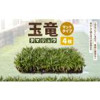 花 苗木 玉竜 タマリュウ たまりゅう 4枚