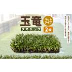 花 苗木 玉竜 タマリュウ たまりゅう 2枚