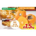 産ブランド柿 秋王 約1.5kg
