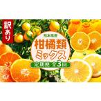 ふるさと納税 果物類 みかん 熊本県 玉名市 定期便 3回 おためし 訳あり 柑橘類 定期便 みかん 不知火 河内晩柑 後藤農園 | フルーツ 果物 くだもの 柑橘 ご…