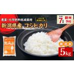 ふるさと納税 無洗米 新潟県 胎内市 16-M051新潟県胎内市産コシヒカリ 無洗米 5kg