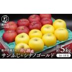 りんご 産りんご 赤い誘惑 サンふじ&シナノゴールド 5kg