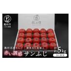 りんご 産りんご 赤い誘惑 サンふじ 化粧箱 約5kg
