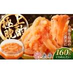 ふるさと納税 魚貝類 明太子 福岡県 築上町  博多辛子明太子の島本 イカめんたい160ｇ《築上町》 株式会社島本食品 ABCR043 8000 8000円