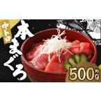マグロ 本マグロ 中トロ 約500g