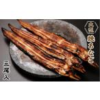 魚貝類 穴子 大型焼あなご 3尾