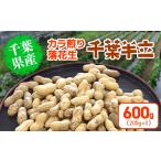 豆類 落花生 カラ煎り落花生 千葉半立 600g