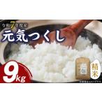 ふるさと納税 米 福岡県 久留米市 先行受付 元気つくし(精米)9kg 令和7年度産米 _先行受付 米 元気つくし 精米 9kg 令和7年度産 受注後 鮮度抜群 新鮮 福岡…