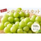 ふるさと納税 ぶどう マスカット 鳥取県 北栄町 929. 訳あり シャインマスカット 350g×4パック 果物 フルーツ くだもの 2025年8月下旬頃〜9月下旬頃に順次…