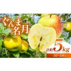 ふるさと納税 りんご 長野県 塩尻市 2025年 先行予約 ぐんま名月 計約5kg( 16 ~ 18 玉) | 果物 くだもの フルーツ 林檎 りんご リンゴ ぐんま名月 長野県 …